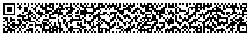 Rectangular Micro QR Code (rMQR Code) version R17x139
