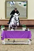 Mounted Cadre Noir horse, jumping a table