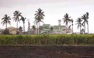 The sugarcane factory and the bagasse/coal dual power plant of Gol, in Saint-Louis