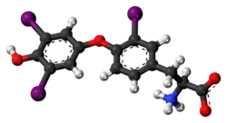 Ball-and-stick model of the reverse triiodothyronine molecule as a zwitterion