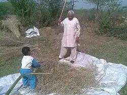 Hard work in fields