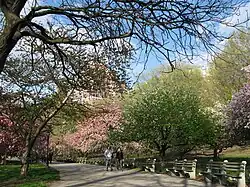 A section of Riverside Park above the Freedom Tunnel, a train tunnel