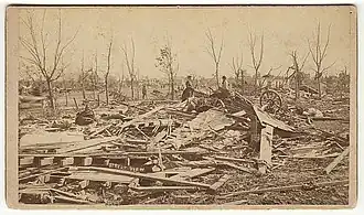 Piles of wooden debris with trees defoliated in the background