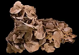 Image 72Desert rose, by Didier Descouens (from Wikipedia:Featured pictures/Sciences/Geology)