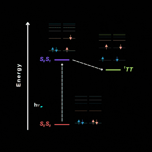 Mechanism of Singlet Fission