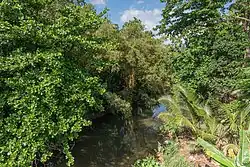 Gin River in Deniyaya, Sri Lanka