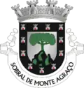 Coat of arms of Sobral de Monte Agraço
