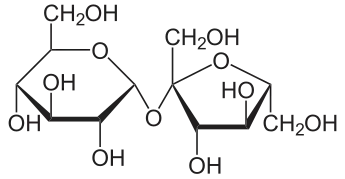 Haworth projection of sucrose