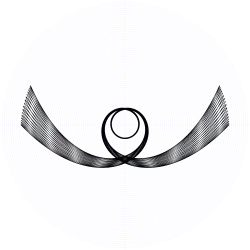 An orbit of the swinging Atwood's machine for , , and zero initial velocity.