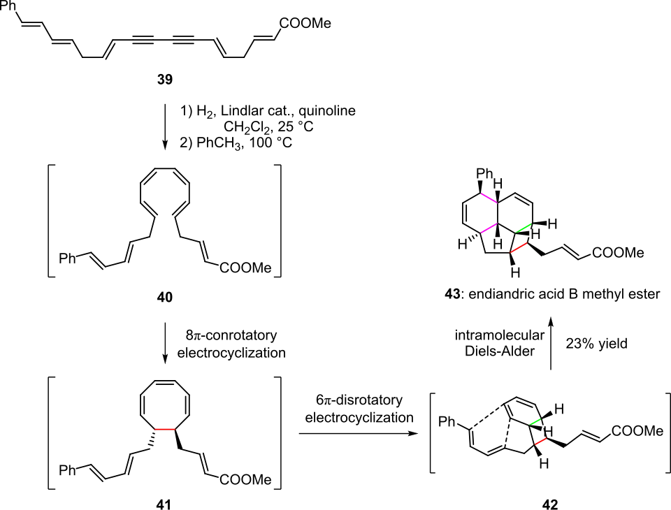 Scheme 8. Pericyclic cascade in the synthesis of endiandric acid derivatives