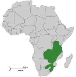 Map of Africa showing highlighted range covering much of eastern Africa from Tanzania to South Africa.