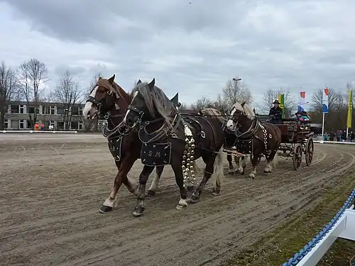 four horses pulling a carriage