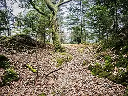 Threshold for access to the summit of the former Stoerenburg Castle