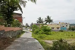 Side road towards the Nilgiris