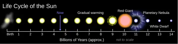 The life cycle for a sun-like star