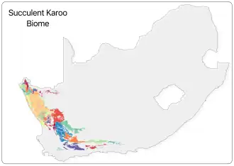 Succulent Karoo vegetation types