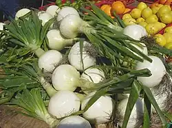 A pile of onions, with green stems protruding from white bulbs. Organes, lemons and limes are visible in the background.