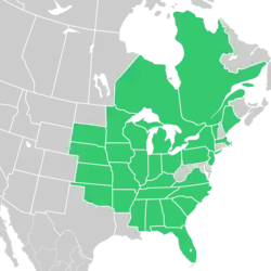 Symphyotrichum pilosum var. pilosum native distribution map: Canada — Ontario, Quebec; United States — Alabama, Arkansas, Florida, Georgia, Illinois, Indiana, Iowa, Kansas, Kentucky, Maine, Massachusetts, Michigan, Minnesota, Mississippi, Missouri, Nebraska, New Hampshire, New Jersey, New York, North Carolina, Ohio, Oklahoma, Pennsylvania, South Carolina, South Dakota, Tennessee, Virginia, Wisconsin