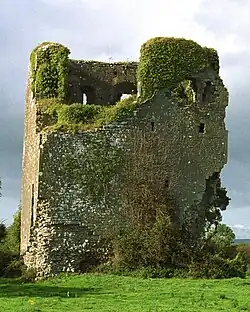 Terrovannan Tower House