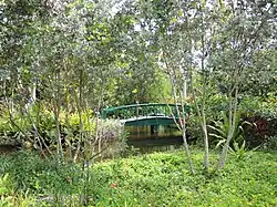 Bridge in the Garden of the Groves