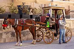 Horse-drawn carriage in Malta