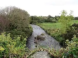 The Moneycarragh River from the Cauley's Pipe Road Bridge