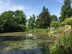 The pond at Swaylands