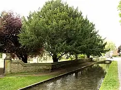 Former mill pond, Welton green (2007)