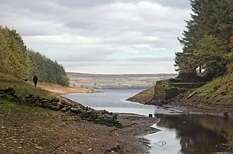 An image of a lake with a very low water level