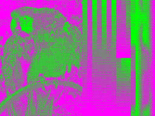 512 × 192 × 2 example image with magenta & green palette