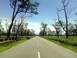 Naharkatia Moran road through Tingkhong Tea Estate