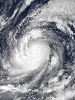 Image 100Typhoon Tip at global peak intensity on 12 October 1979 (from Pacific Ocean)