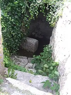 Saint Fiachra's holy well near Cill Gobnait.