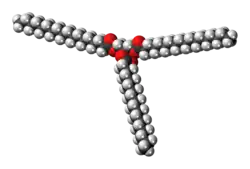 Space-filling model of the tristearin molecule