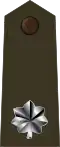 Lieutenant colonel