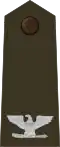 Colonel