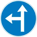 Go straight or turn left
