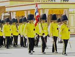 Colour guard of the 1st Marine Battalion, King's Guard, Royal Thai Navy