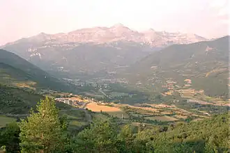 A valley surrounded by trees with mountains in the background