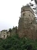 Overgrown tower and grand hall of the Upper Castle in the 2000s, before renewed research and conservation works (summer 2005)