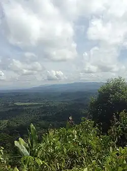 View from Bukit Patoi's peak