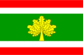 Flag of Bohuslávky