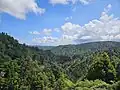 The upper Waitākere River valley northwest of the Waitākere Reservoir