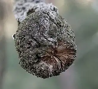 Scotts Bluff County, Nebraska, 2019