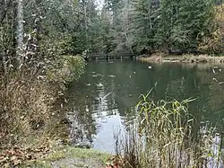 Derby Pond, where water is diverted to the fish hatchery