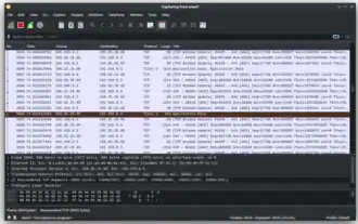 Wireshark GUI