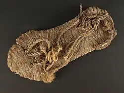 Sandal from 700–1100. Source: National Park Service