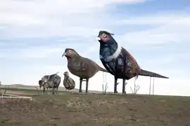 Pheasants on the Prairie