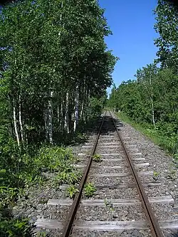 Colour photograph of railroad tracks disappearing into the distance with trees on each side.
