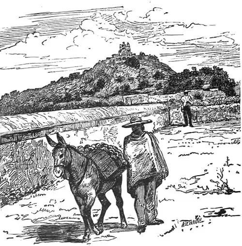 click on image to enlarge